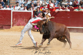 valencia 2023-03-18 (11).jpeg