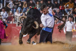 vall_d_uixó_12_02_2023 (3).jpeg