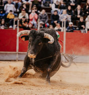 vall_d_uixó_12_02_2023 (6).jpeg