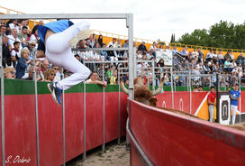 23_04_2023 Tauste (8).jpeg