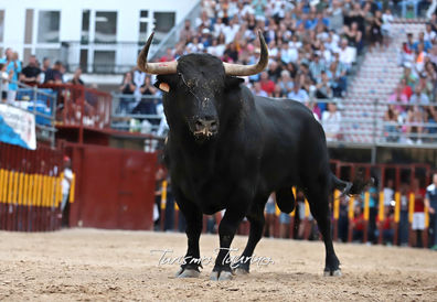 WhatsApp Image 2022-09-09 at 17.31.05 (2).jpeg