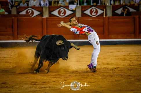 WhatsApp Image 2022-09-10 at 11.14.02.jpeg