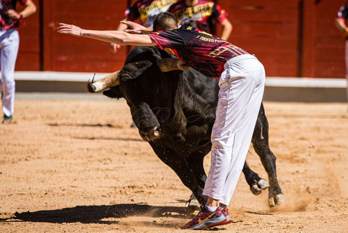 guadalajara 26-03-2023 (13).jpeg