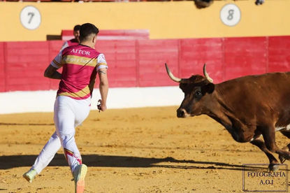 2023-03-18 alagon (13).jpeg