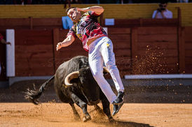 guadalajara 26-03-2023 (17).jpeg