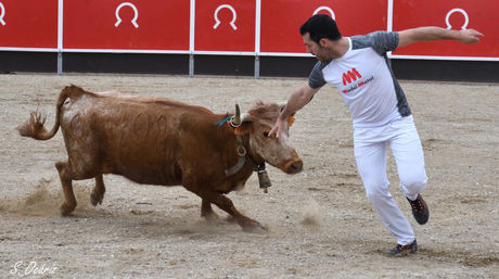 23_04_2023 Tauste (12).jpeg