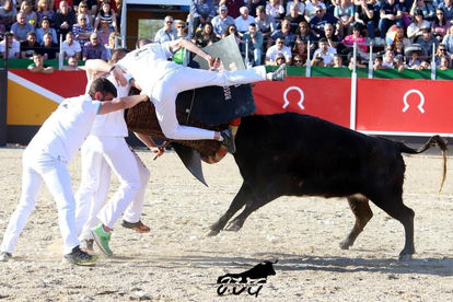 22_04_2023 tauste (9).jpeg