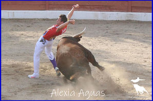 23_04_2023 ebde (16).jpeg