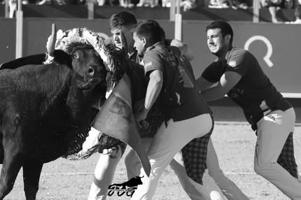 22_04_2023 tauste (7).jpeg