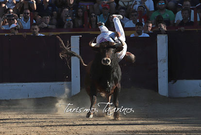 WhatsApp Image 2022-09-05 at 19.31.54 (1).jpeg