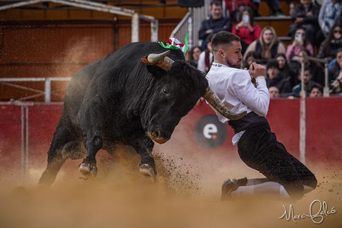 vall_d_uixó_12_02_2023 (4).jpeg