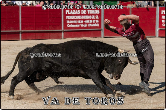 22_04_2023 talamanca (23).jpeg