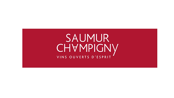 Saumur Champigny (AOC) Les Valengenets