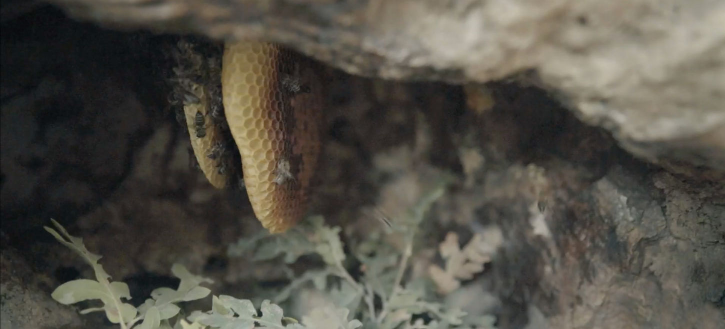 Screen Shot 2023-08-11 at 13.12.41 copy.jpg