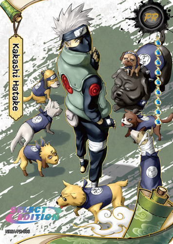 NRSA-PR-006 - Kakashi Hatake PR 006 - Promo | 9 Tails Collectibles