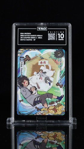 TAG Graded Cards | 9 Tails Collectibles