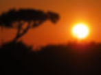 Sunset Madagaskar.jpg