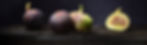 SL_PL_Fig.jpg