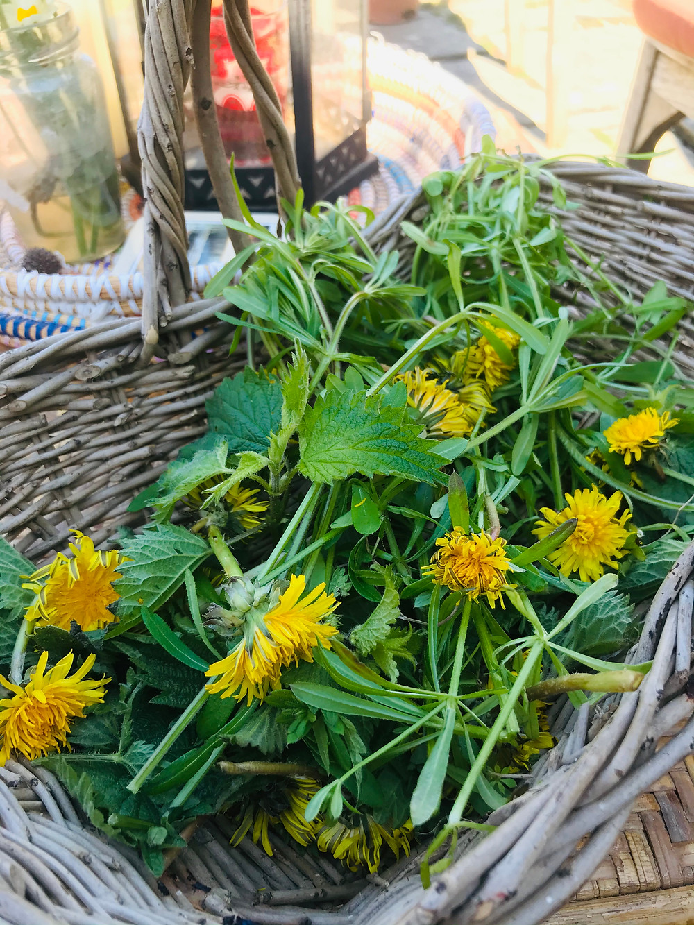 dandelion
