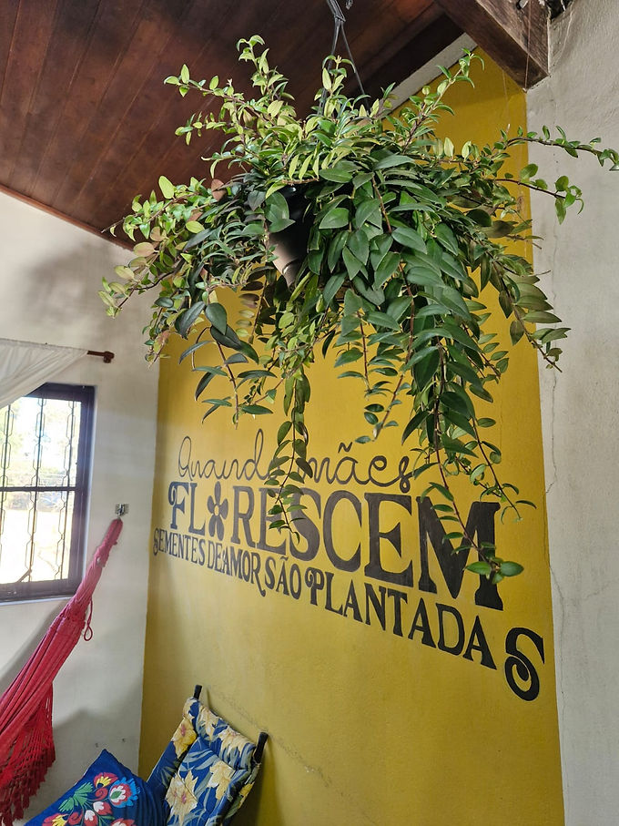 WhatsApp Image 2025-08-16 at 16.54.02.jpeg