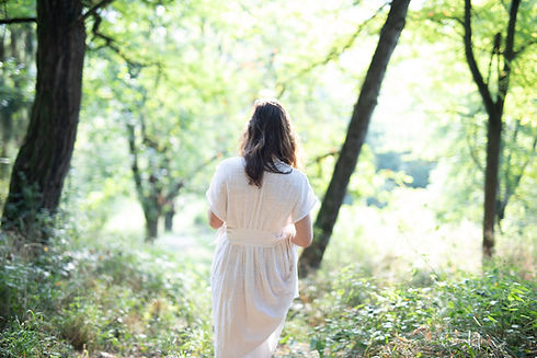 sb-3529.jpg
