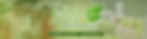 Faithful Wellness - Twitter Header.jpg