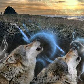 Sustaining, Transforming, or Releasing Relationships