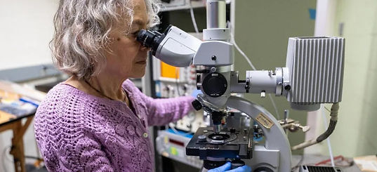 Screenshot 2025-06-30 at 4.42_edited.jpg