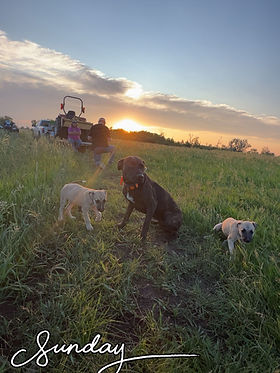 IMG_9876.jpg