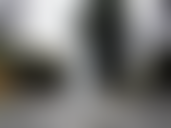 Restituire decoro al Parco della Rimembranza? La maggioranza dice no alla mozione dell'opposizione