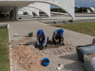 Il Brasile e l'effetto farfalla