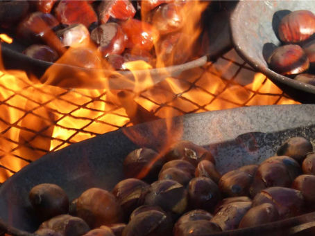Biodistretto e rilancio del marrone