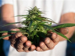 Droghe, tra falsi miti e inutili moralismi