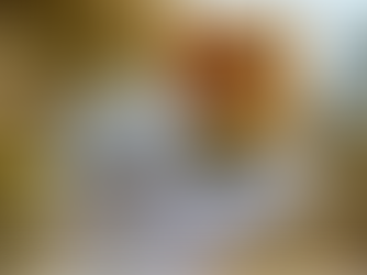 Che cosa ci insegnano le api