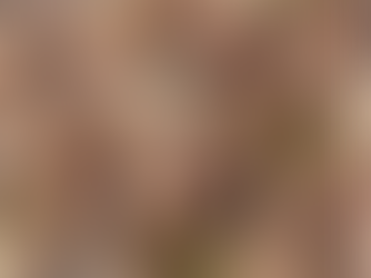 Lo strano caso del "cosciotto di pollo" che divide il comune di Valmontone