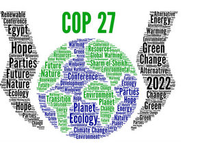 Cop 27 e la spinta europea