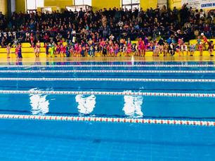 Nuoto propaganda, oltre 350 partecipanti ad Anagni