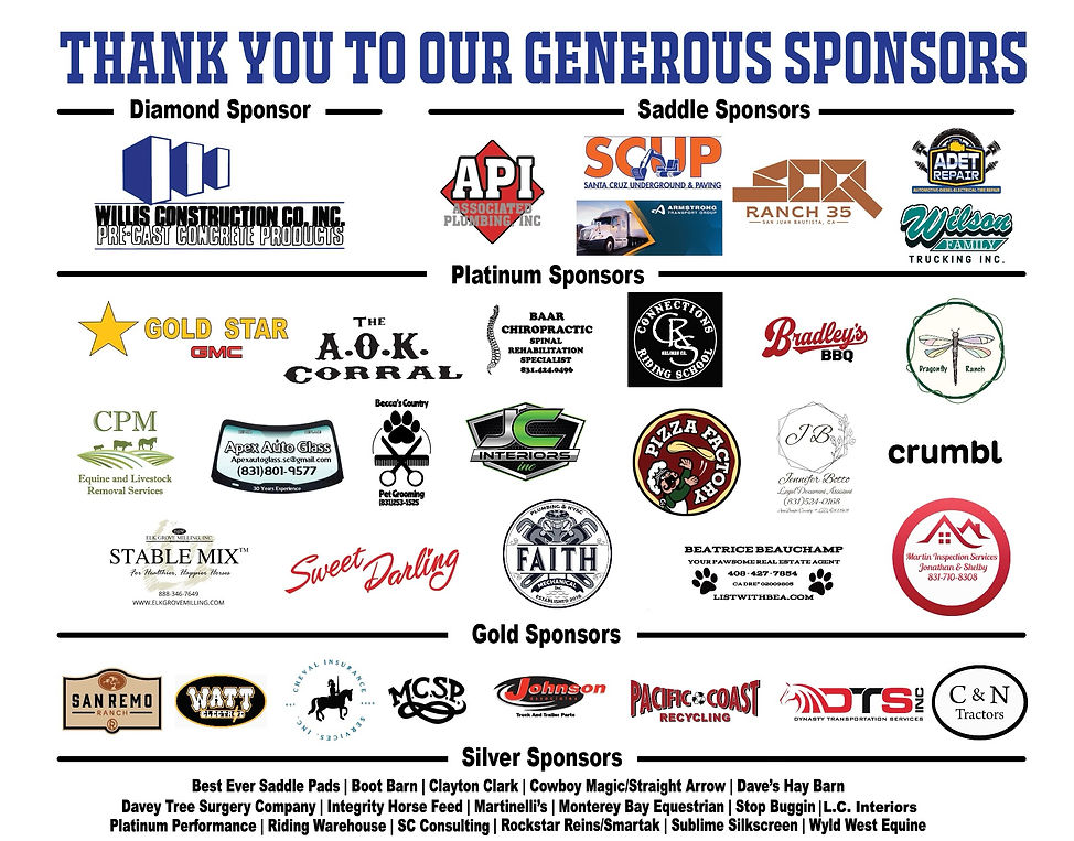 sponsor banner 25.jpeg