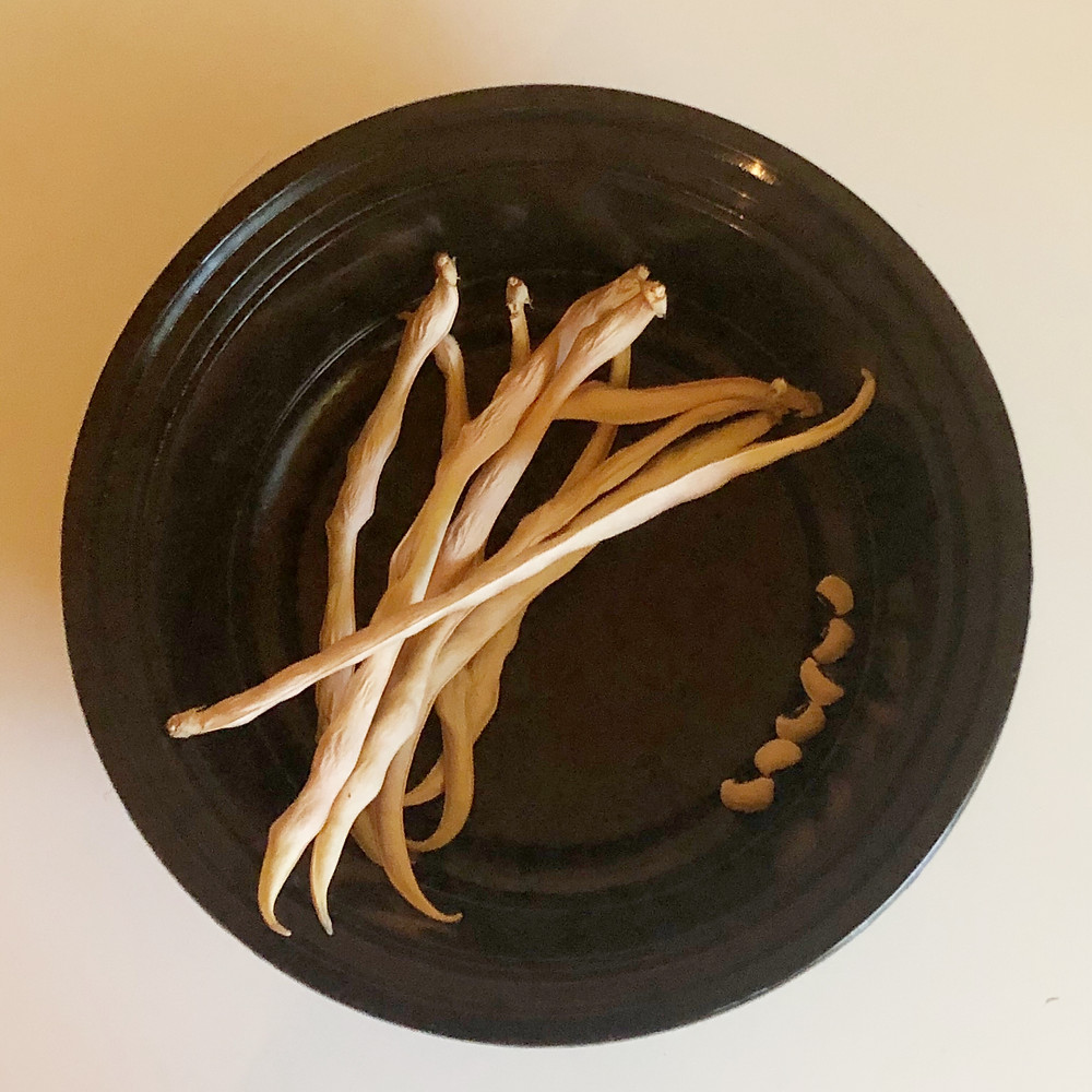 Lessons from the Garden: 3 Ways I'm Turning My Gardening Failures into Future Success