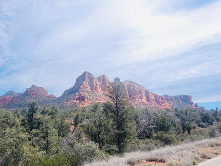 Improving Air Quality for Allergy Relief