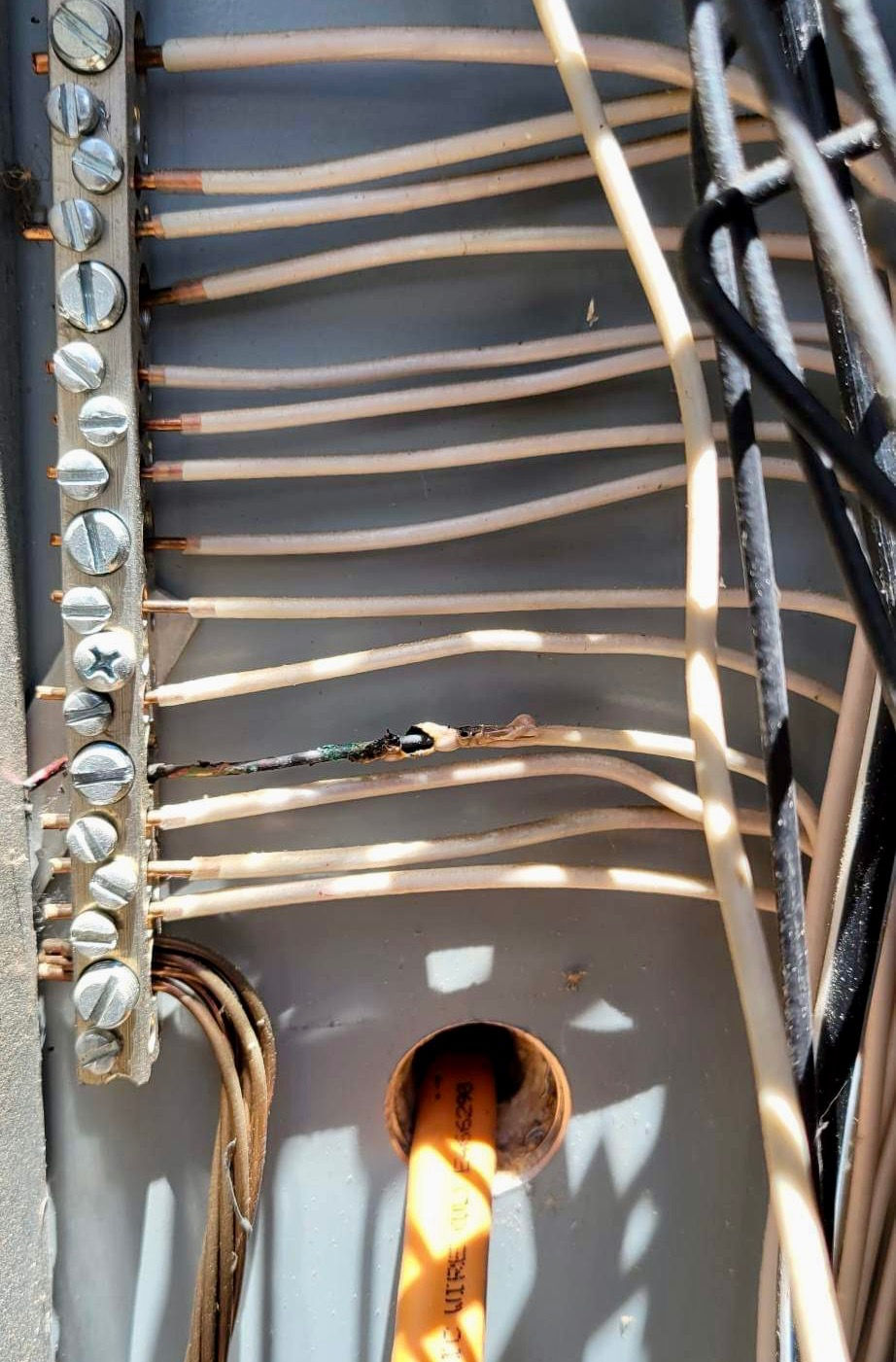Burnt wire in an electrical panel