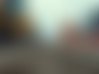 Streamline Your Construction Project with Professional Estimators