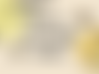 Create a Bee Friendly Garden