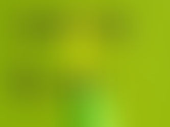 The Biggest Gardening Mistakes  