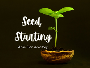 Seed Starting