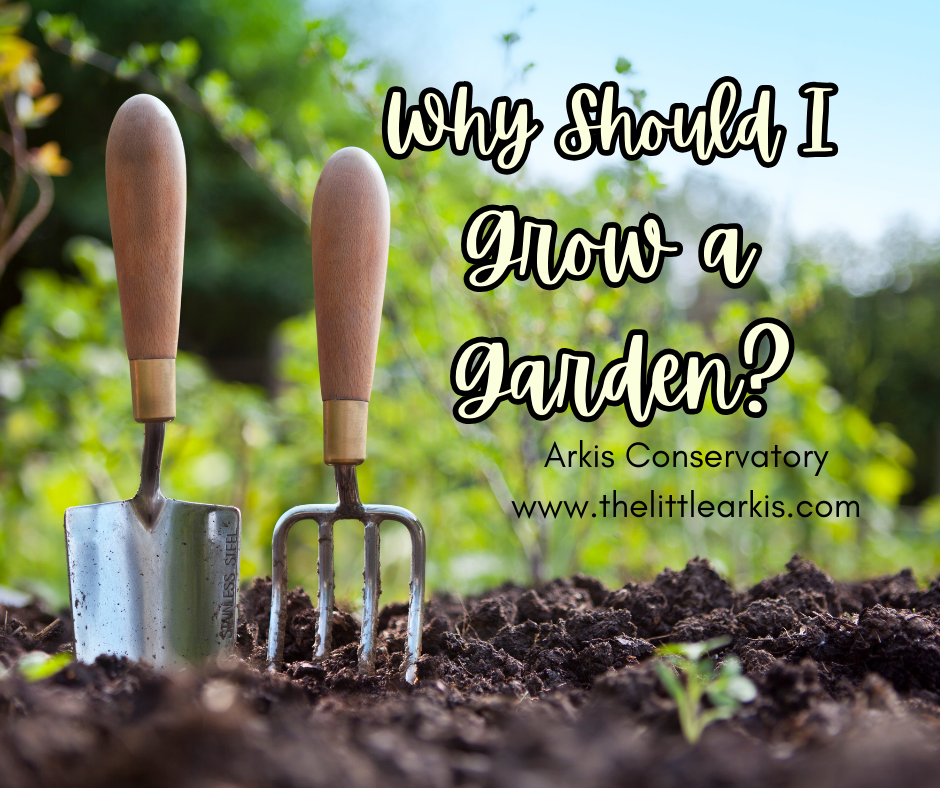 Why Should I Grow a Garden?