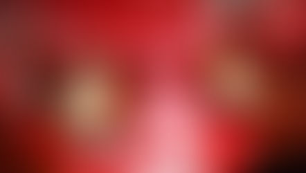 Terugblik 11-11, met een lach en een traan