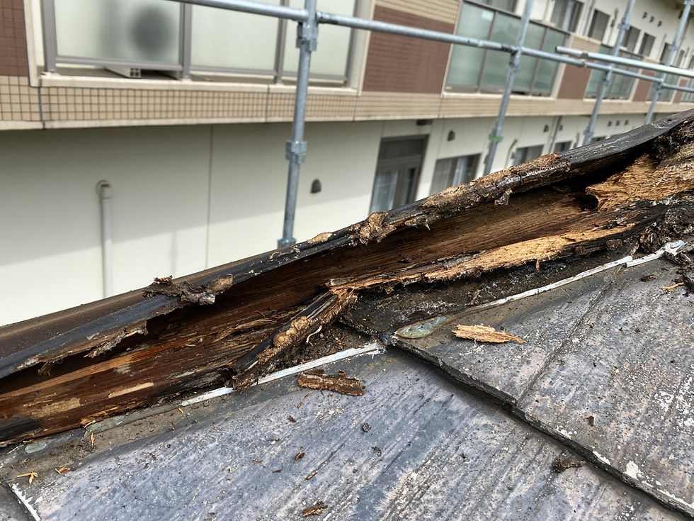 【雨漏り診断士が警告】DIYでやってはいけない雨漏り補修｜良かれと思ったその行動が被害を広げる？