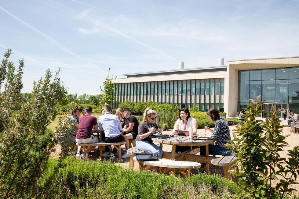 Colleagues sharing lunch outside their office building in the sunshine