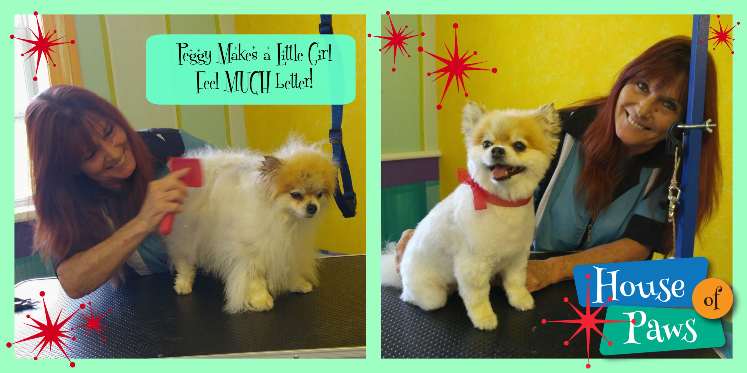 House of Paws Grooming Salon, Cape Girardeau, MO